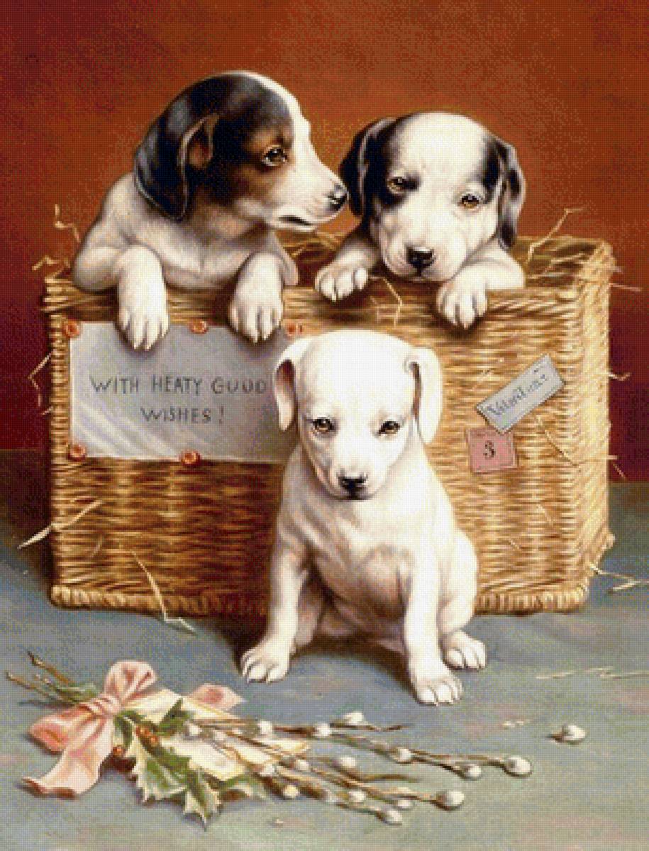 Три щенка - предпросмотр