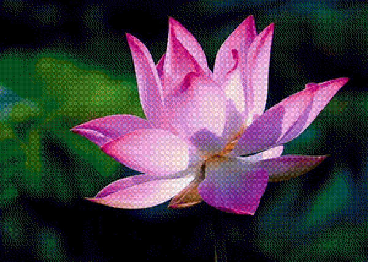 Sen - предпросмотр