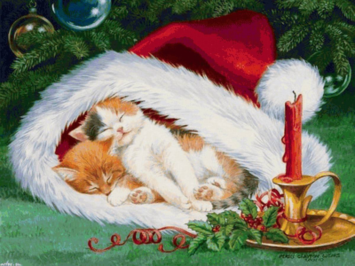 котята в новогодней шапке - котенок, зима - предпросмотр