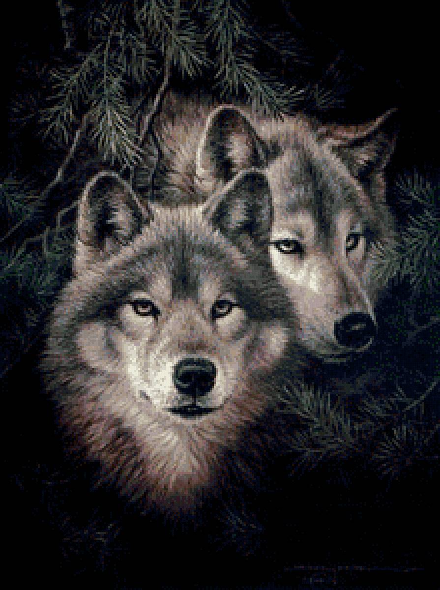 волки.верность - предпросмотр