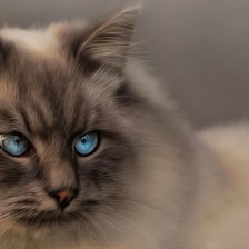 Схема вышивки «Таец? Бирма?»