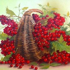 Схема вышивки «калина»