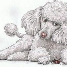 Схема вышивки «Щенок и жук»