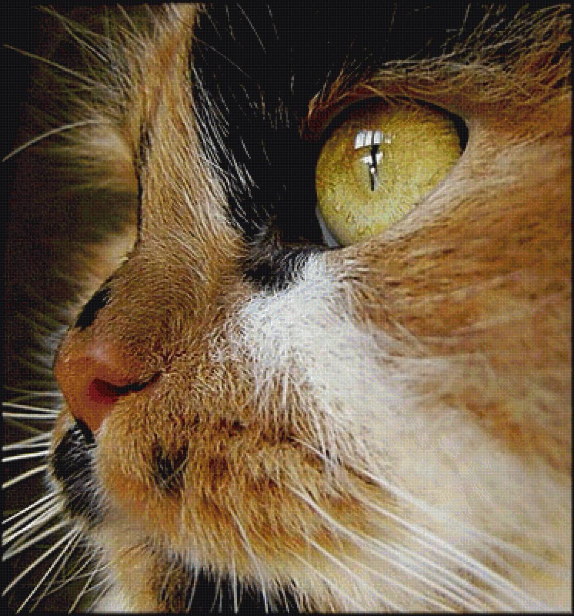 №1625328 - предпросмотр