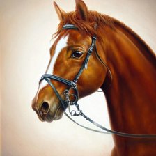 Схема вышивки «№1625585»