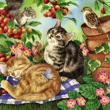 Схема вышивки «№1625764»