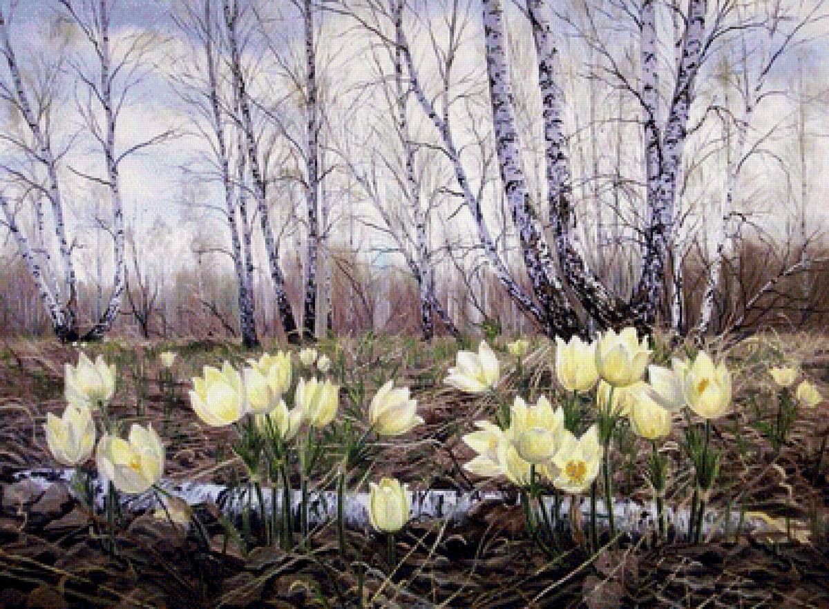 Апрельские цветы - березки, цветы, лес, пейзаж, полено, весна - предпросмотр