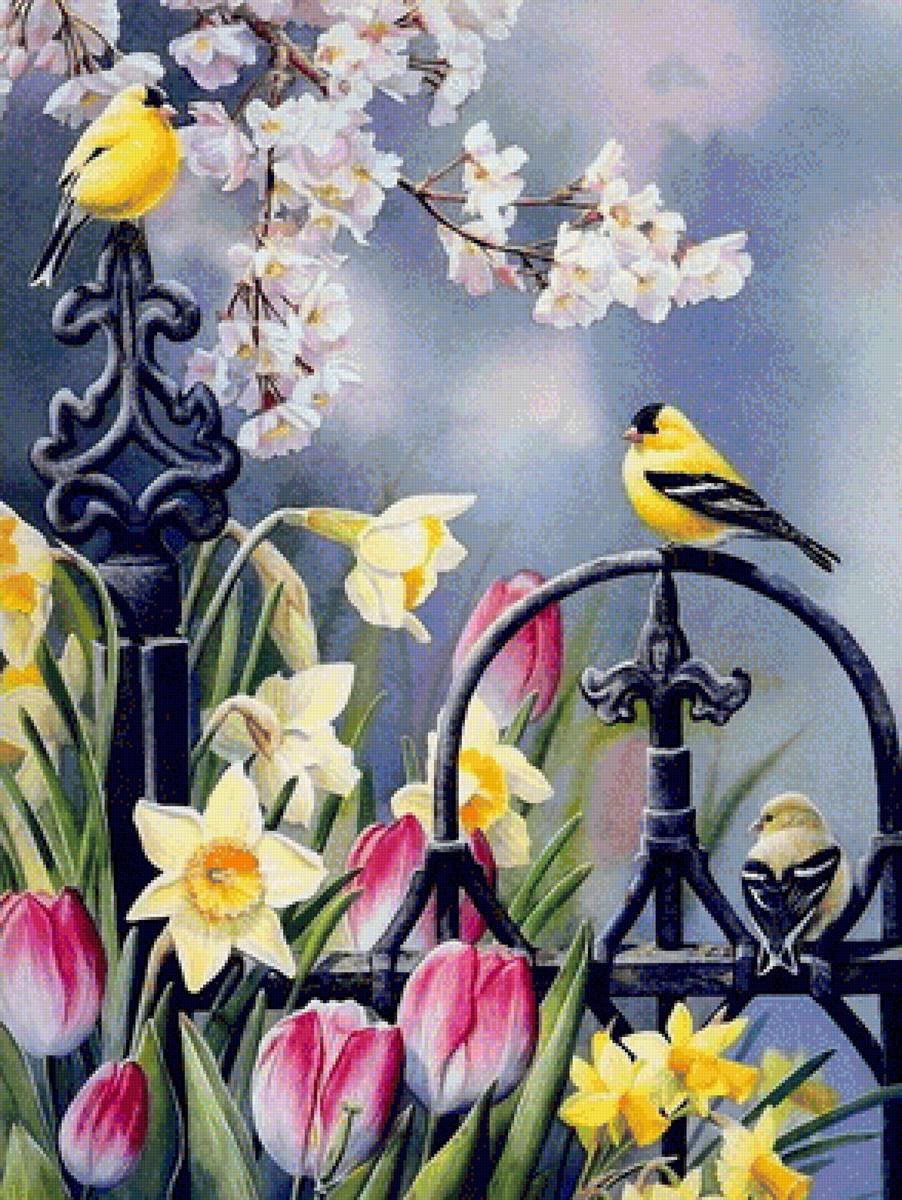 obrázok - предпросмотр