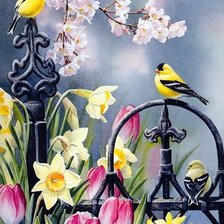 Схема вышивки «obrázok»