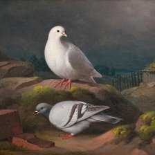 Схема вышивки «Картина»