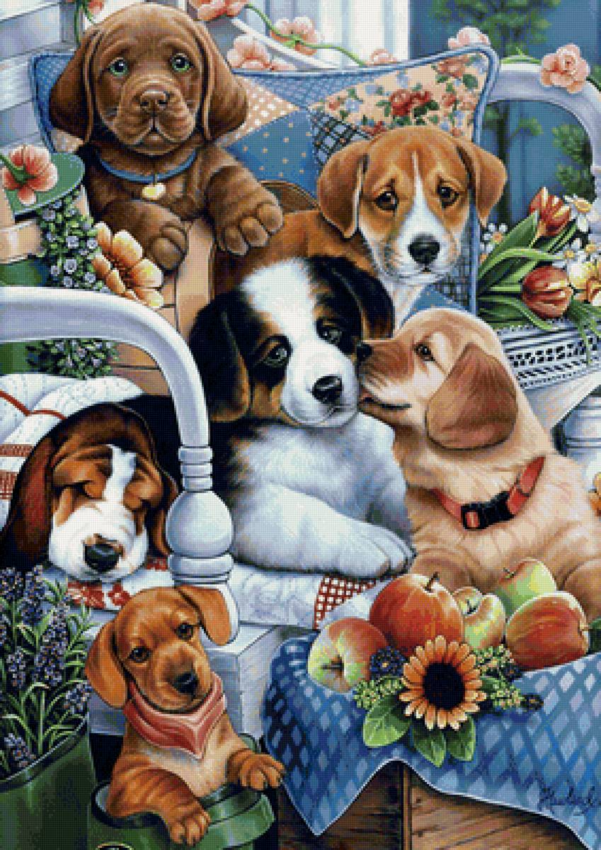 Собаки - собаки - предпросмотр