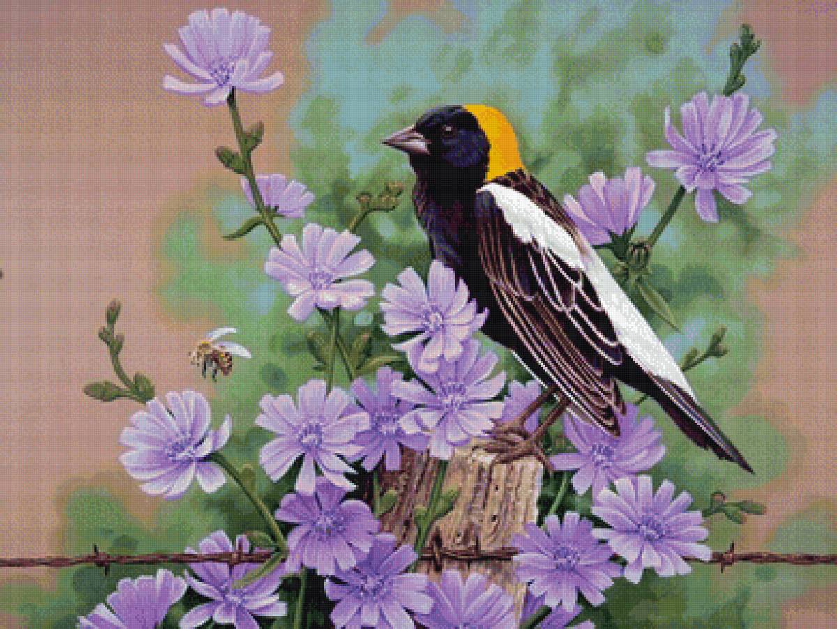 čakanka,vtáčik - предпросмотр