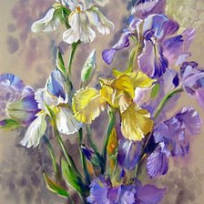 Схема вышивки «kosatce»