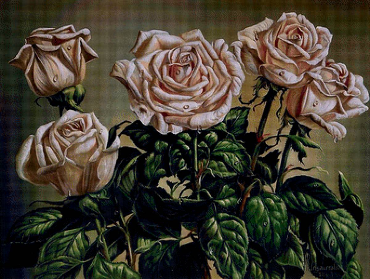 Розы - предпросмотр