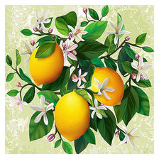 Схема вышивки «№1626554»