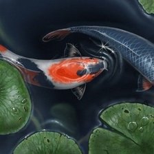 Схема вышивки «Карпы кои 2»