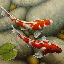 Схема вышивки «Карпы кои 4»