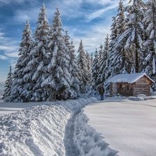 Схема вышивки «№1626709»