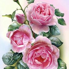 Схема вышивки «роза»