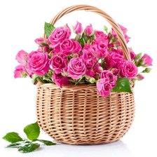 Схема вышивки «роза»