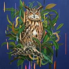 Схема вышивки «Сова»