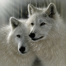 Схема вышивки «№1626972»