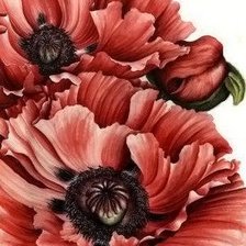 Схема вышивки «№1627099»