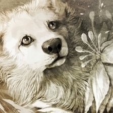 Схема вышивки «№1627126»