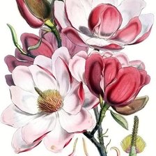 Схема вышивки «№1627209»