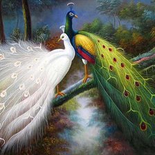 Схема вышивки «Павлины»