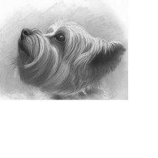 Схема вышивки «№1627798»