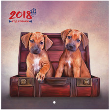 Схема вышивки «2018»