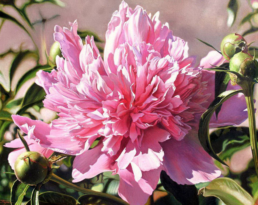 №1628279 - оригинал