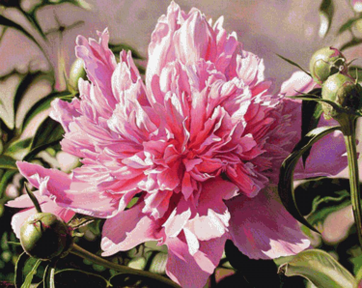 №1628279 - предпросмотр