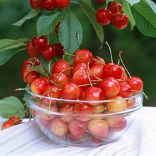 Схема вышивки «Черешня»