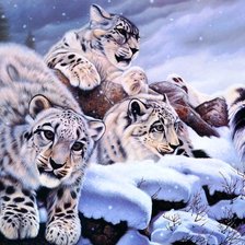 Схема вышивки «Котята»