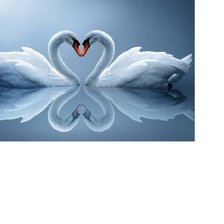 Схема вышивки «№1628439»