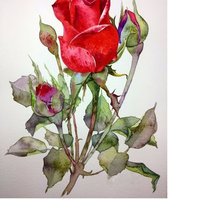 Схема вышивки «№1628489»