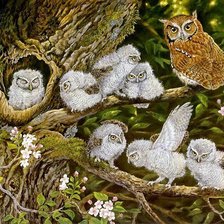 Схема вышивки «№1628574»