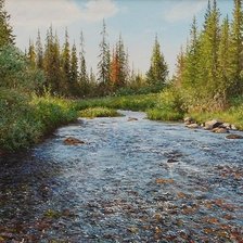 Лесной ручей