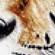 Предпросмотр схемы вышивки «Тигр» (№1629169)