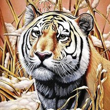 Схема вышивки «Тигр»