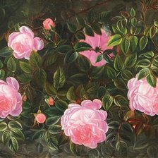 Схема вышивки «№1629336»