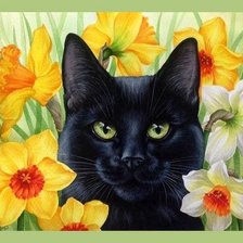 Схема вышивки «mačka,narcisy»