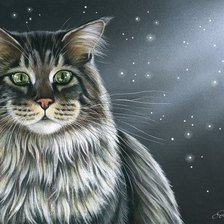 Схема вышивки «Кот»