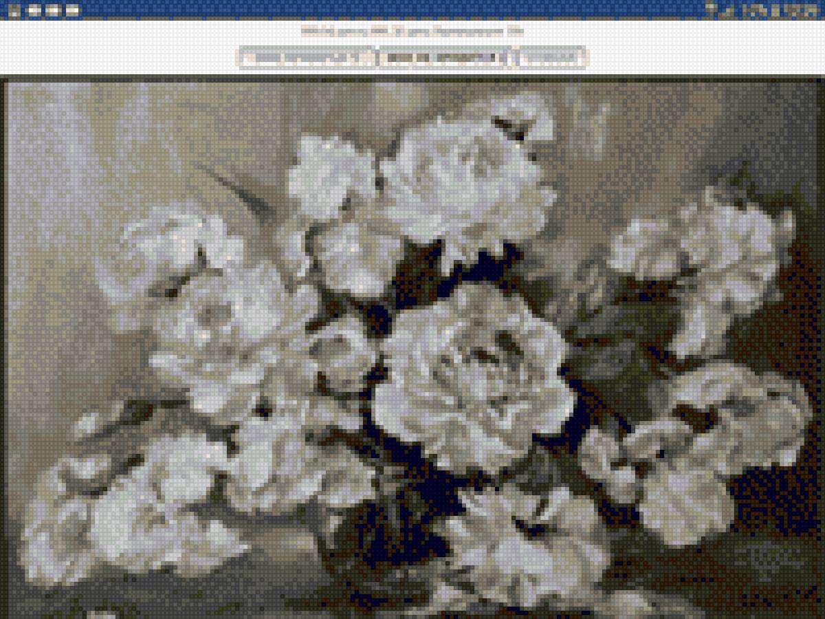 Rosa mari ap - peonias blancas - предпросмотр