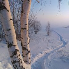 Схема вышивки «№1629855»