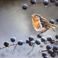 Схема вышивки «птичка»