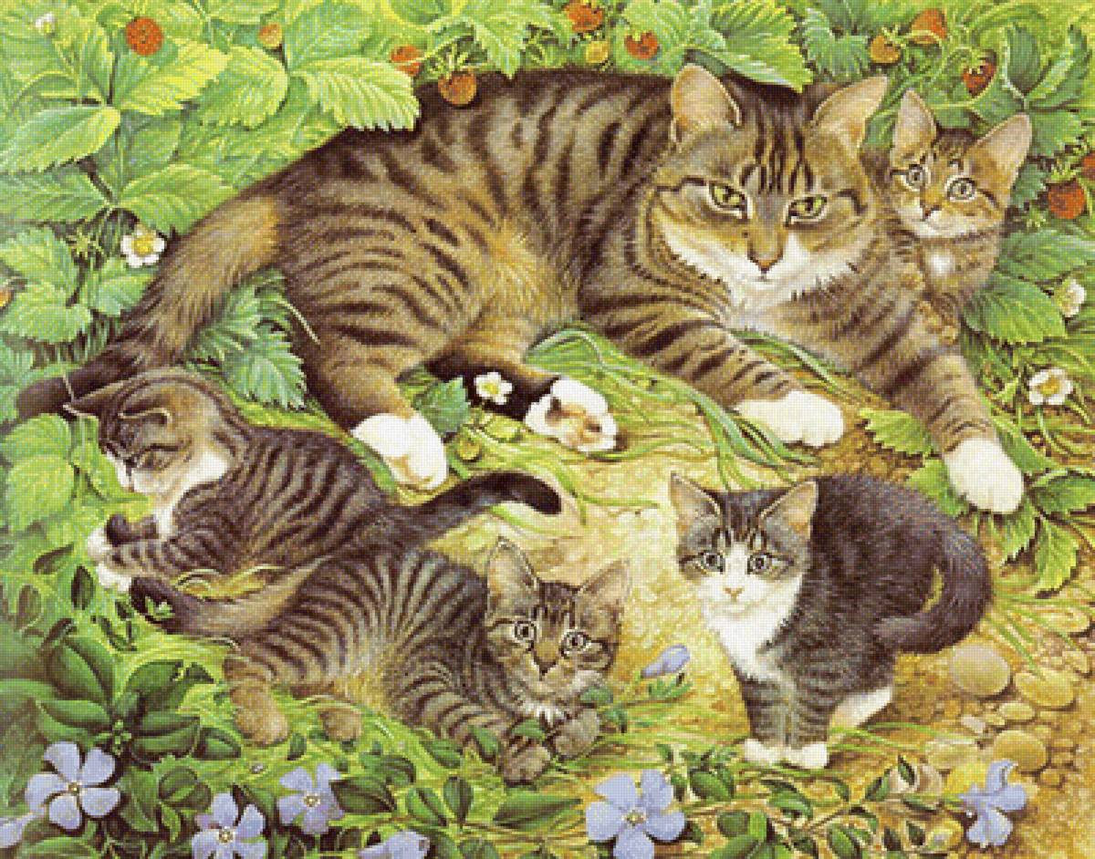 кошки в землянике - природа, пейзаж, животные - предпросмотр