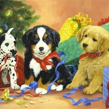 Схема вышивки «№1630302»